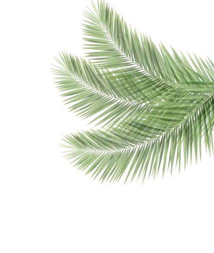 Заголовок